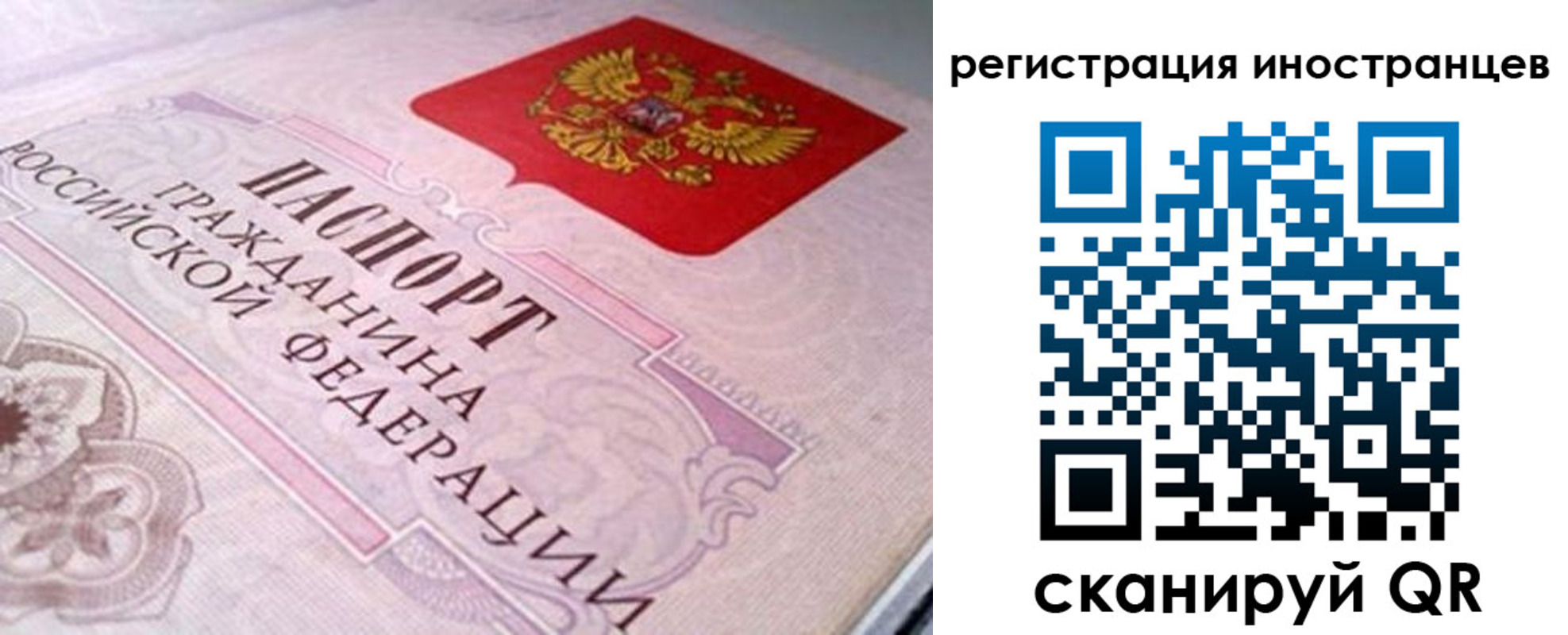 регистрация в Лыткарино